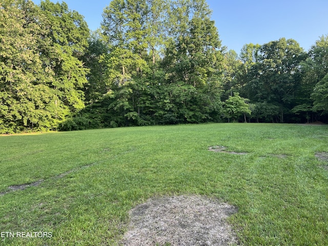1198 Mill Creek Rd, Sunbright, TN 37872 - photo 17