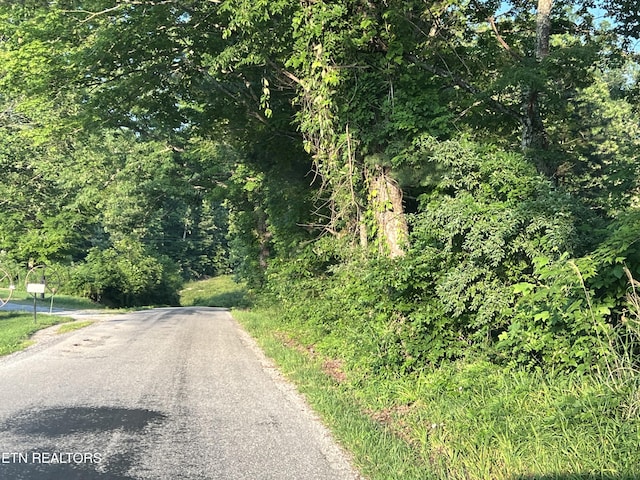 1198 Mill Creek Rd, Sunbright, TN 37872 - photo 19