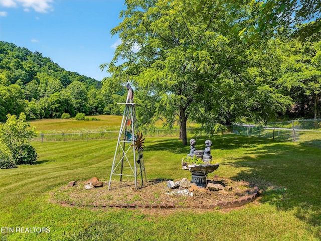 2594 Indian Creek Rd, Thorn Hill, TN 37881 - view of yard