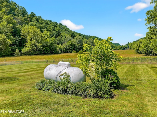 2594 Indian Creek Rd, Thorn Hill, TN 37881 - view of yard featuring a view of countryside and a wooded view