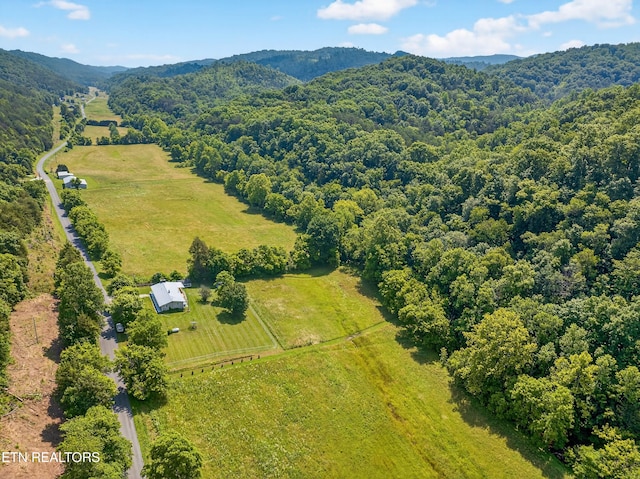 2594 Indian Creek Rd, Thorn Hill, TN 37881 - overview of rural landscape with a mountain backdrop and a heavily wooded area