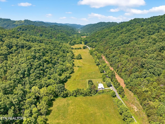 2594 Indian Creek Rd, Thorn Hill, TN 37881 - drone / aerial view of a forest