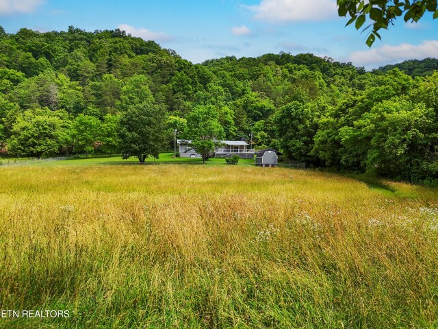 2594 Indian Creek Rd, Thorn Hill, TN 37881 - view of yard featuring a view of trees
