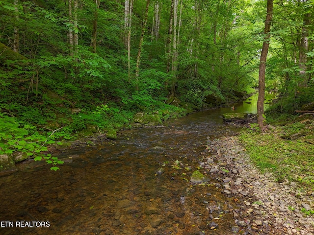 2594 Indian Creek Rd, Thorn Hill, TN 37881 - view of woods
