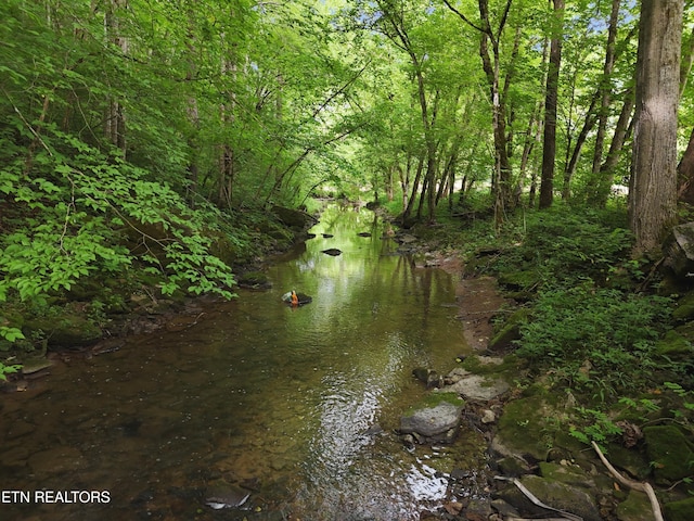 2594 Indian Creek Rd, Thorn Hill, TN 37881 - water view