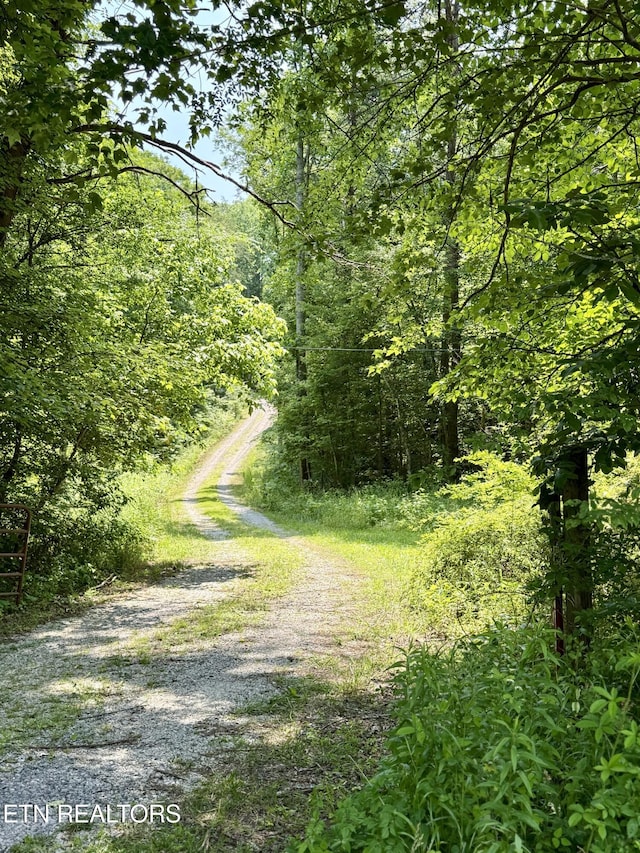 179 Wiggins Rd, Tellico Plains, TN 37385 - view of street featuring a forest view