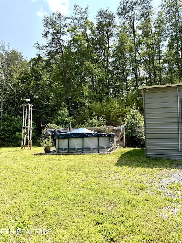 179 Wiggins Rd, Tellico Plains, TN 37385 - view of green lawn with a covered pool