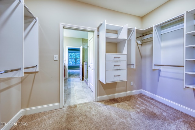 126 Pocola Way, Loudon, TN 37774 - spacious closet featuring carpet flooring