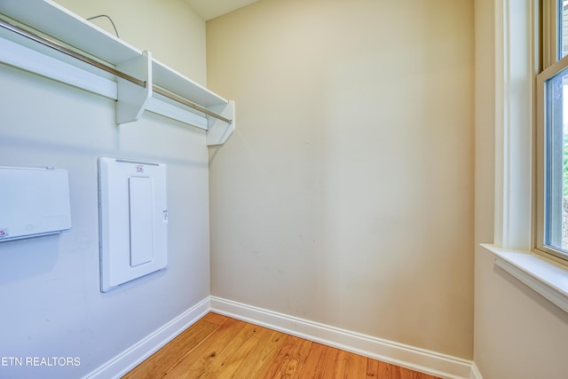 126 Pocola Way, Loudon, TN 37774 - walk in closet with light wood-type flooring and electric panel