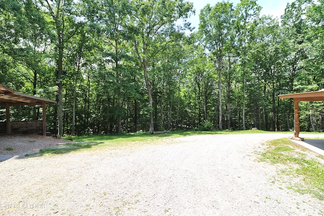 495 Bear Hollow Rd, Oneida, TN 37841 - view of dirt / gravel driveway featuring a forest view