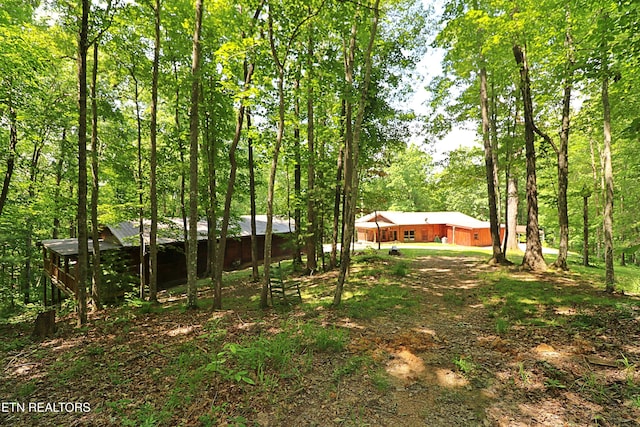 495 Bear Hollow Rd, Oneida, TN 37841 - view of yard with a wooded view