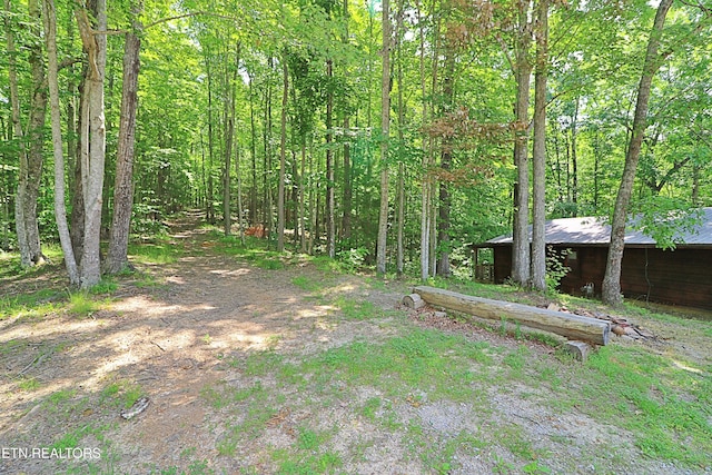 495 Bear Hollow Rd, Oneida, TN 37841 - view of yard featuring a wooded view