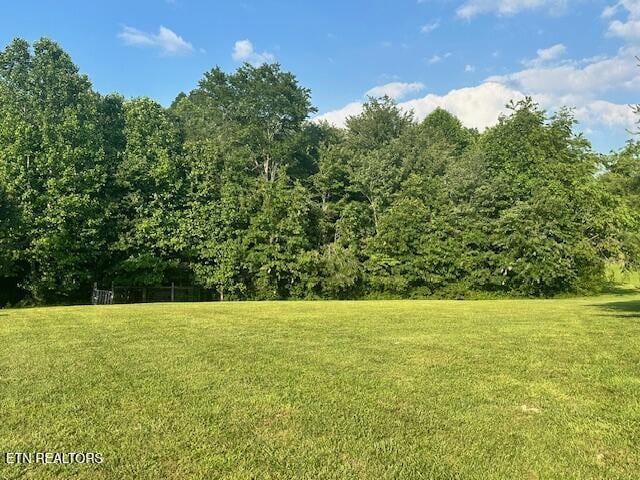 832 Fritzsche, Jamestown, TN 38556 - view of grassy yard