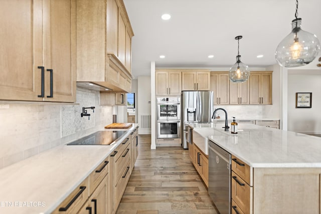 888 Smokey Quartz Blvd, New Tazewell, TN 37825 - kitchen with appliances with stainless steel finishes, a sink, light brown cabinets, and recessed lighting