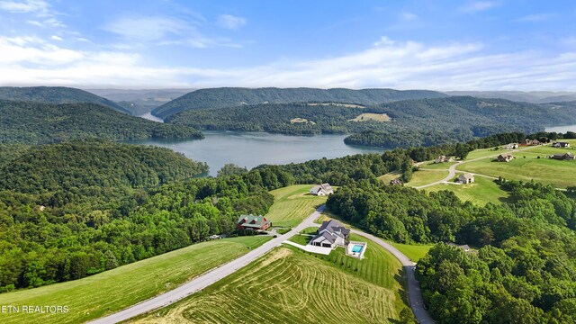 888 Smokey Quartz Blvd, New Tazewell, TN 37825 - drone / aerial view of a water and mountain view and a forest