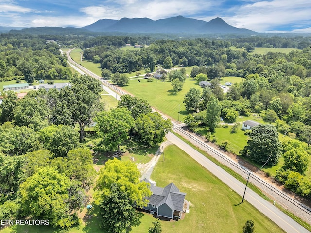 7915 Corryton Luttrell Rd, Corryton, TN 37721 - photo 35