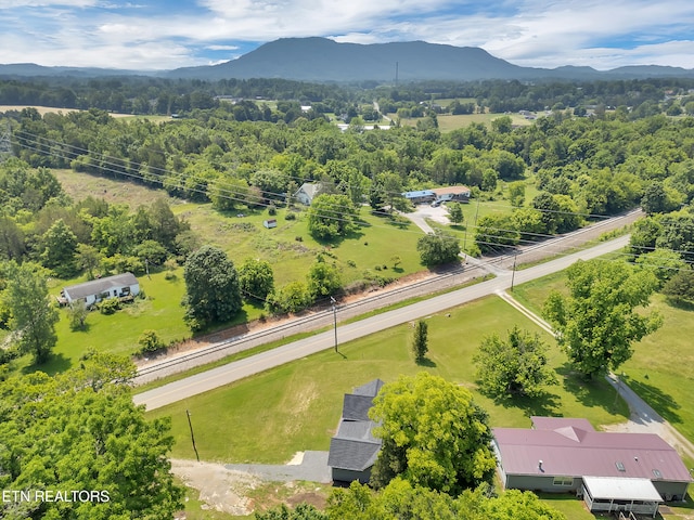7915 Corryton Luttrell Rd, Corryton, TN 37721 - photo 37