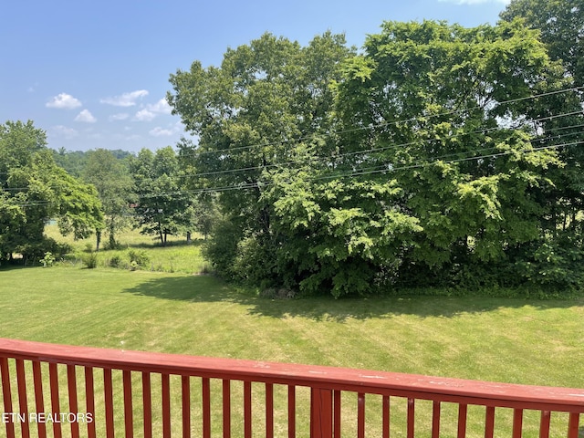 159 Emory Ln, Tazewell, TN 37879 - view of green lawn