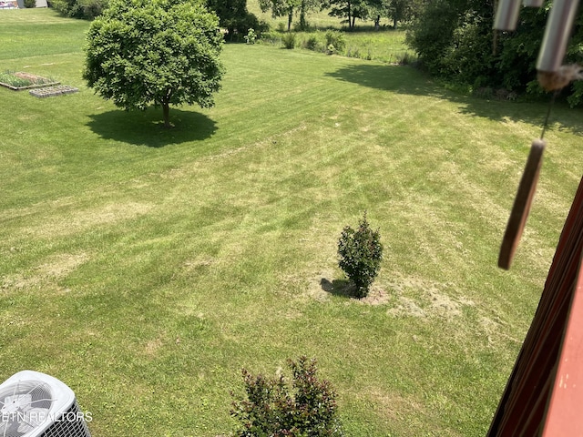 159 Emory Ln, Tazewell, TN 37879 - view of green lawn featuring central AC unit