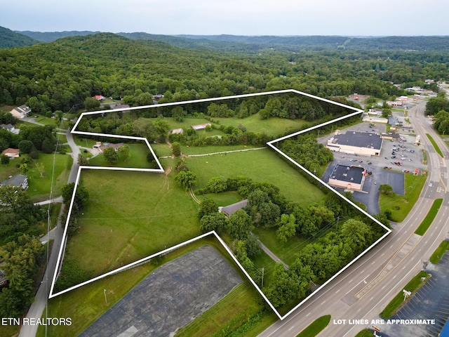 306 E Tri County Blvd, Oliver Springs, TN 37840 - aerial overview of property's location with a forest, property boundaries highlighted, and mountains