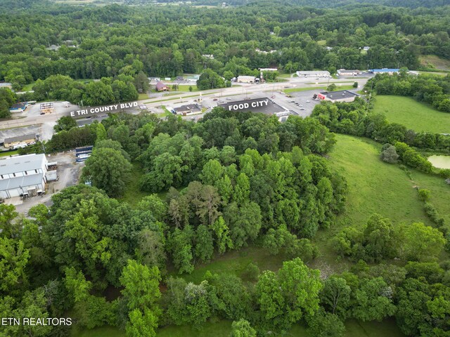 306 E Tri County Blvd, Oliver Springs, TN 37840 - bird's eye view of a forest