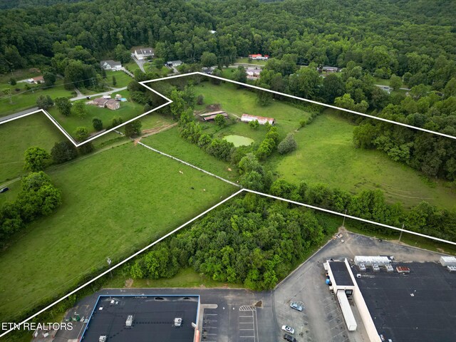 306 E Tri County Blvd, Oliver Springs, TN 37840 - view of property location featuring property boundaries highlighted and a heavily wooded area