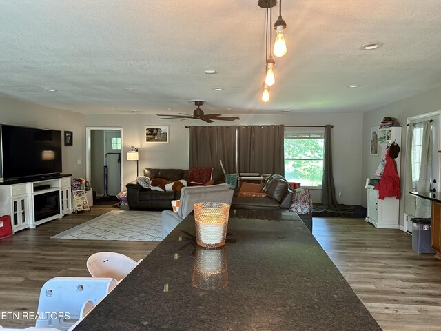 306 E Tri County Blvd, Oliver Springs, TN 37840 - living room featuring wood finished floors, a textured ceiling, recessed lighting, and ceiling fan