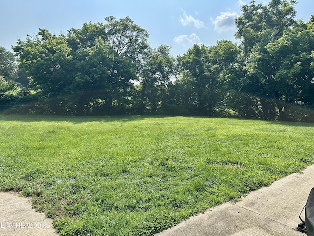 306 E Tri County Blvd, Oliver Springs, TN 37840 - view of yard