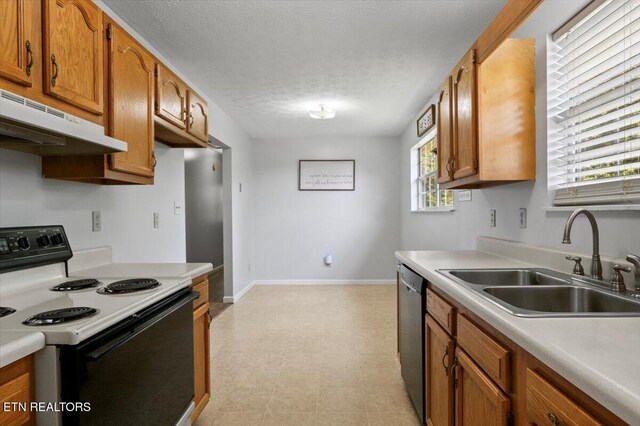 340 Mountain View Ests, Caryville, TN 37714 - kitchen with range with electric cooktop, a sink, stainless steel dishwasher, under cabinet range hood, and brown cabinets