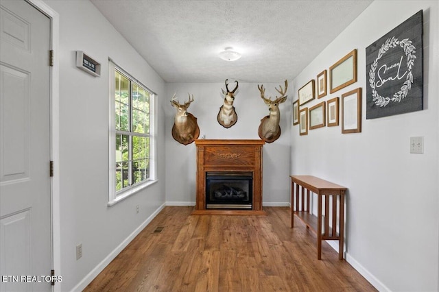 340 Mountain View Ests, Caryville, TN 37714 - living area featuring wood finished floors, a textured ceiling, a glass covered fireplace, and baseboards