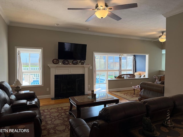 7243 Autumn View Ln, Powell, TN 37849 - living room with a ceiling fan, wood finished floors, a textured ceiling, crown molding, and a tiled fireplace