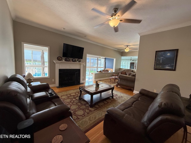 7243 Autumn View Ln, Powell, TN 37849 - living area with a ceiling fan, light wood-style floors, a textured ceiling, ornamental molding, and a tile fireplace