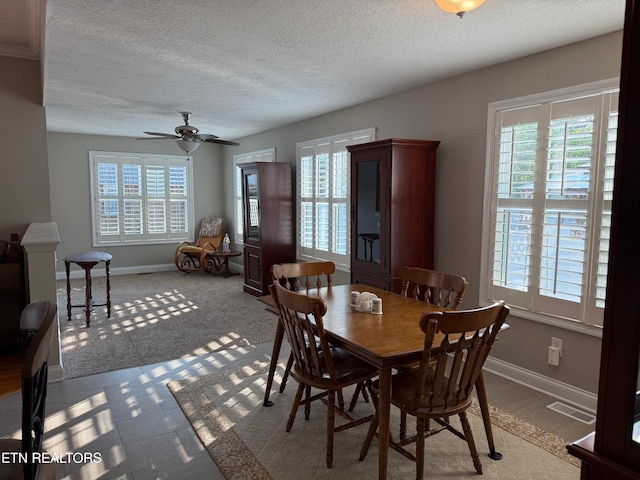 7243 Autumn View Ln, Powell, TN 37849 - dining room with healthy amount of natural light, a textured ceiling, baseboards, and a ceiling fan