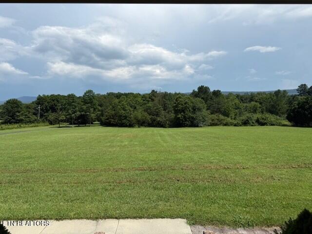 259 York Rd, Crossville, TN 38555 - photo 6