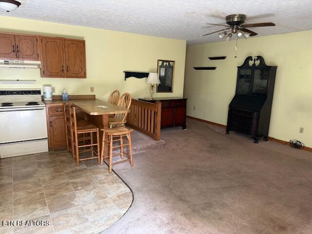 805 Sewanee St, Harriman, TN 37748 - photo 20