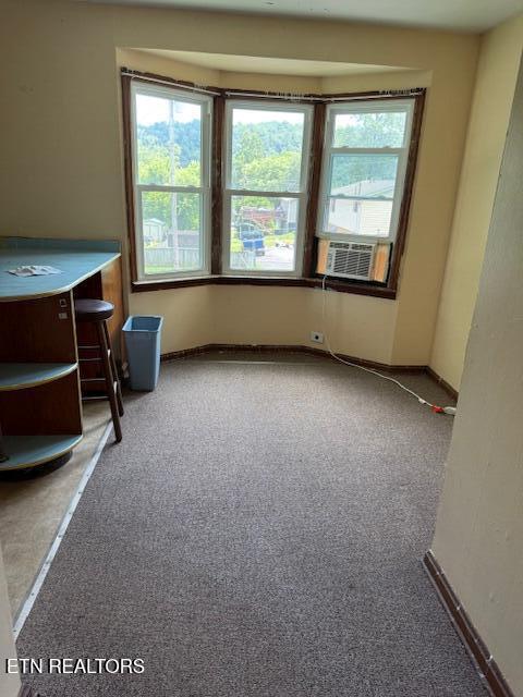 805 Sewanee St, Harriman, TN 37748 - photo 10