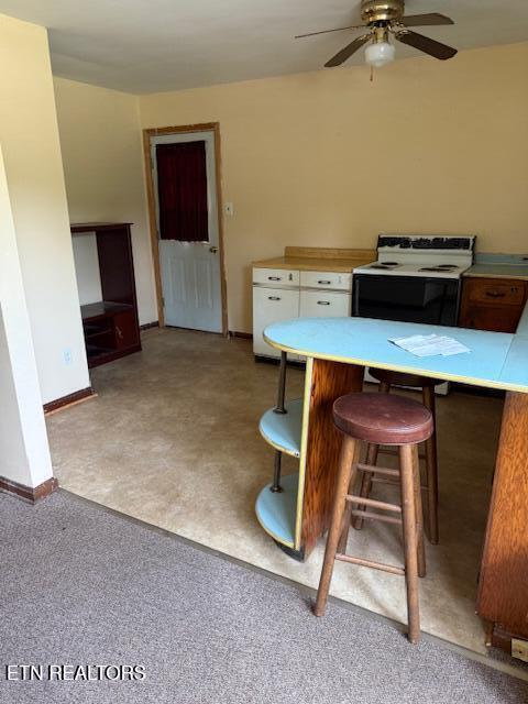 805 Sewanee St, Harriman, TN 37748 - photo 11