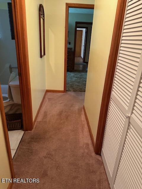 805 Sewanee St, Harriman, TN 37748 - photo 12
