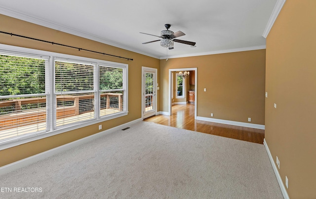 12649 Bayview Dr, Knoxville, TN 37922 - photo 17