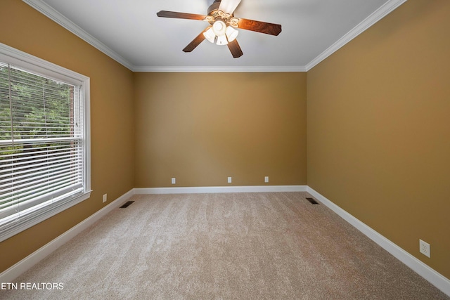 12649 Bayview Dr, Knoxville, TN 37922 - photo 20