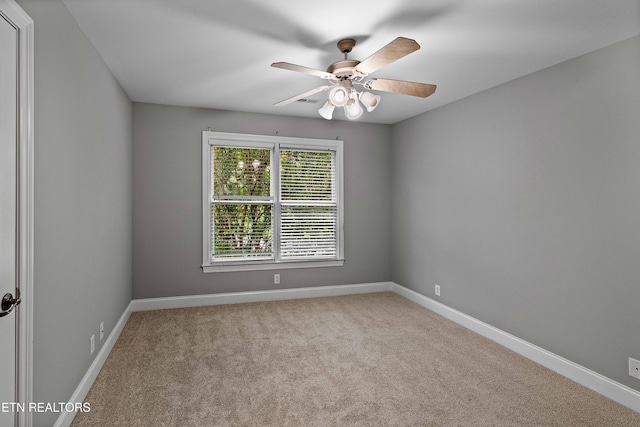 12649 Bayview Dr, Knoxville, TN 37922 - photo 29