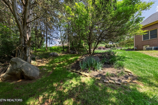 12649 Bayview Dr, Knoxville, TN 37922 - photo 47