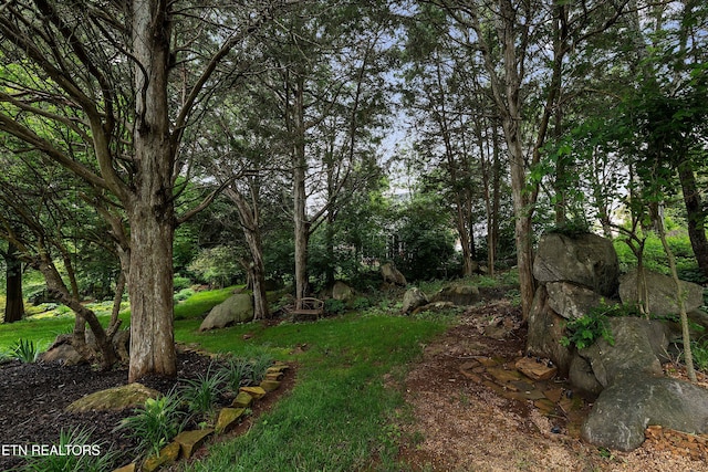 12649 Bayview Dr, Knoxville, TN 37922 - photo 49