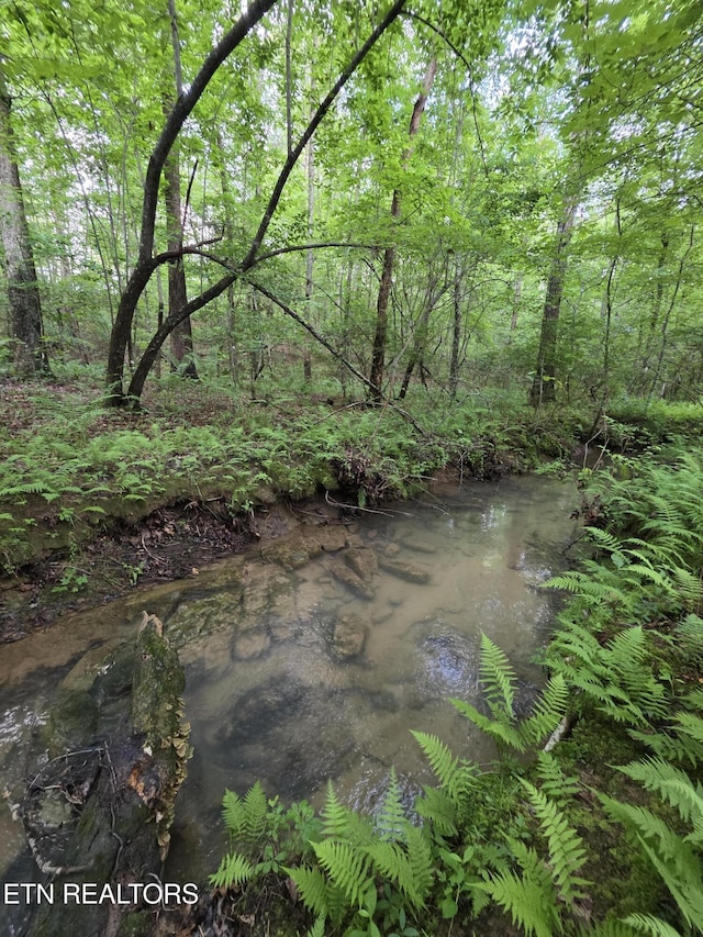 12 Street Place Loop, Monterey, TN 38574