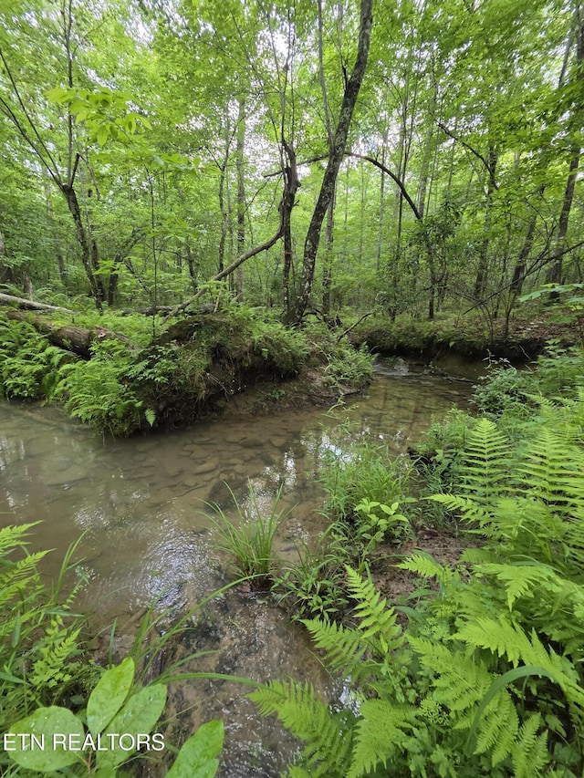 12 Street Place Loop, Monterey, TN 38574