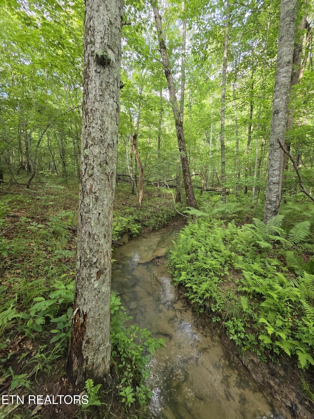 12 Street Place Loop, Monterey, TN 38574