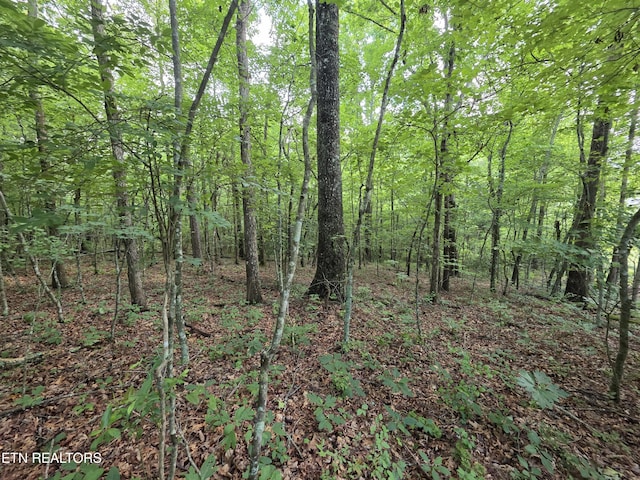 12 Street Place Loop, Monterey, TN 38574
