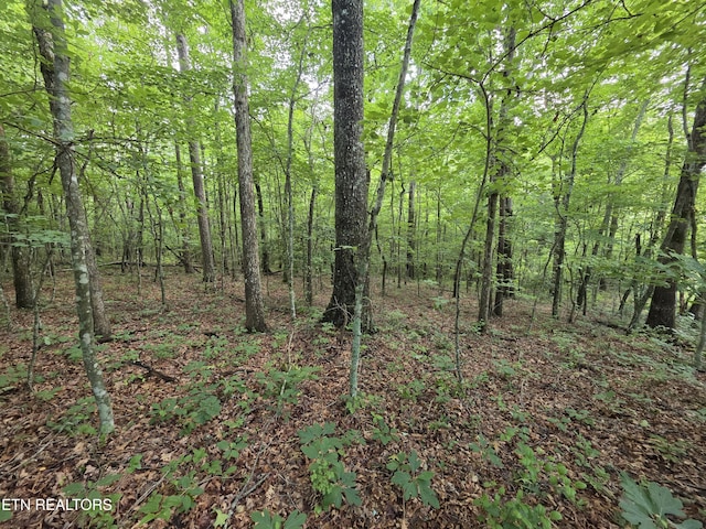 12 Street Place Loop, Monterey, TN 38574