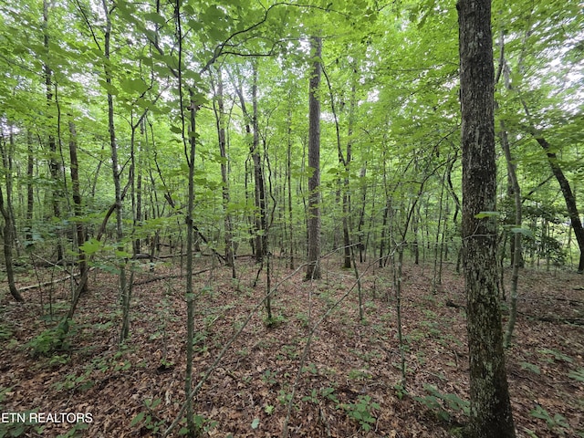 12 Street Place Loop, Monterey, TN 38574