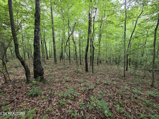 12 Street Place Loop, Monterey, TN 38574